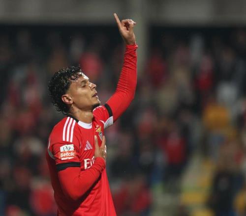 南美杯,分析,专家质合预,九游会官网,九游会J9,九游会真人,九游会备用,九游会中心