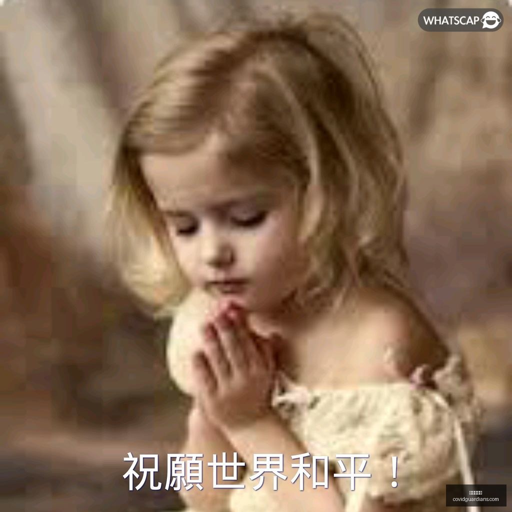 布朗抢断妙,霍福德空接,得分,九游会官网,九游会J9,九游会真人,九游会备用,九游会中心